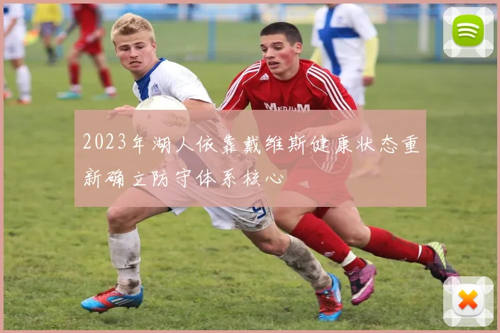 2023年湖人依靠戴维斯健康状态重新确立防守体系核心