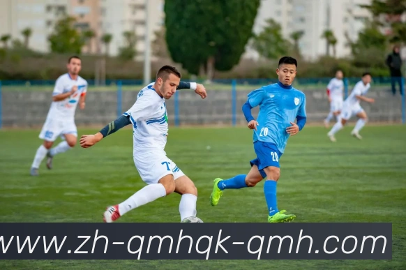 球盟会平台生态图